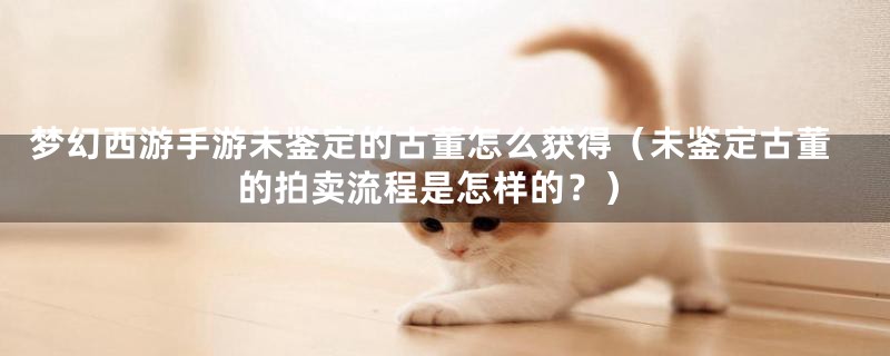 梦幻西游手游未鉴定的古董怎么获得(未鉴定古董的拍卖流程是怎样的?)