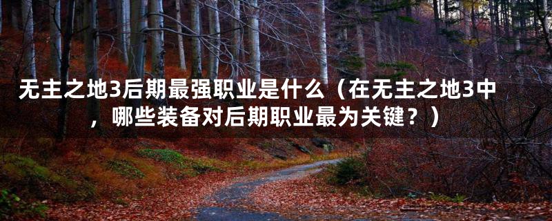 无主之地3后期最强职业是什么(在无主之地3中,哪些装备对后期职业最为关键?)