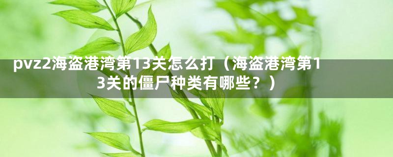 pvz2海盗港湾第13关怎么打(海盗港湾第13关的僵尸种类有哪些?)