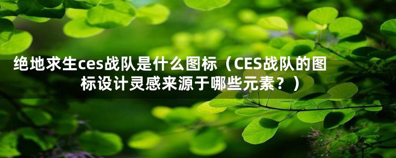 绝地求生ces战队是什么图标(CES战队的图标设计灵感来源于哪些元素?)