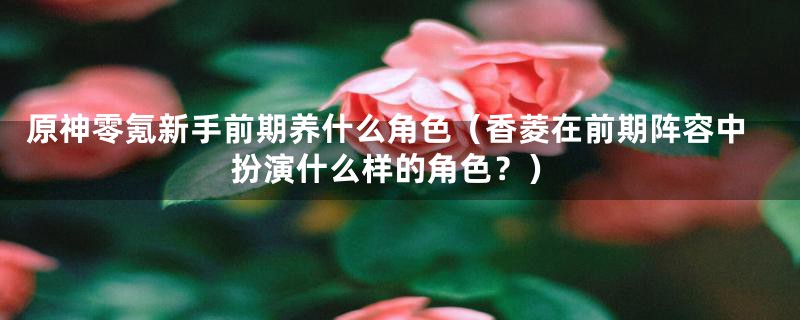 原神零氪新手前期养什么角色(香菱在前期阵容中扮演什么样的角色?)