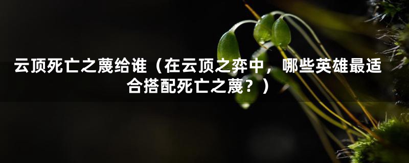 云顶死亡之蔑给谁（在云顶之弈中，哪些英雄最适合搭配死亡之蔑？）