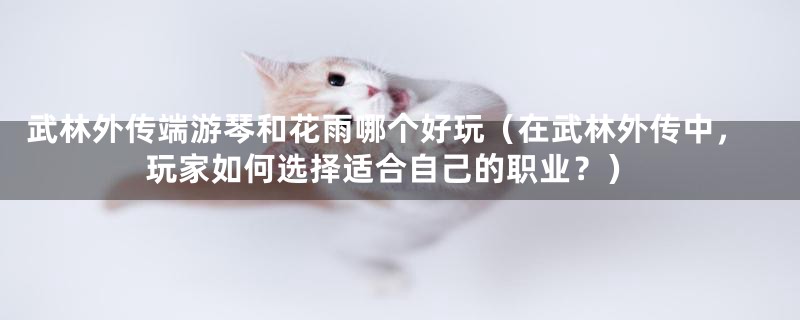 武林外传端游琴和花雨哪个好玩(在武林外传中,玩家如何选择适合自己的职业?)
