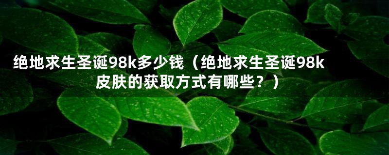 绝地求生圣诞98k多少钱(绝地求生圣诞98k皮肤的获取方式有哪些?)