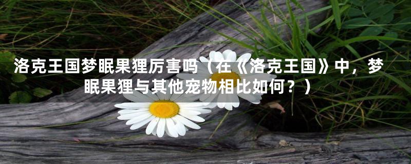 洛克王国梦眠果狸厉害吗（在《洛克王国》中，梦眠果狸与其他宠物相比如何？）