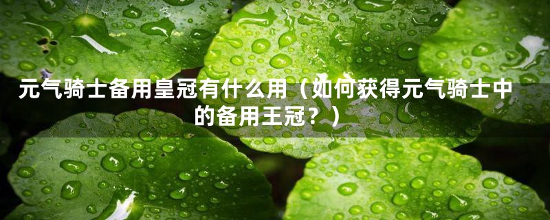 元气骑士备用皇冠有什么用(如何获得元气骑士中的备用王冠?)
