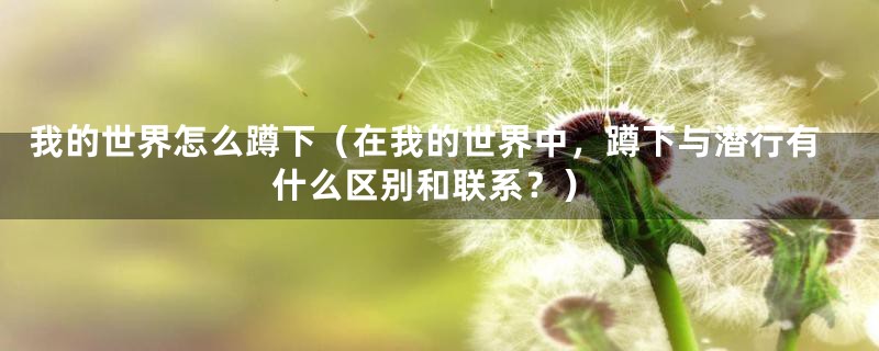 我的世界怎么蹲下(在我的世界中,蹲下与潜行有什么区别和联系?)