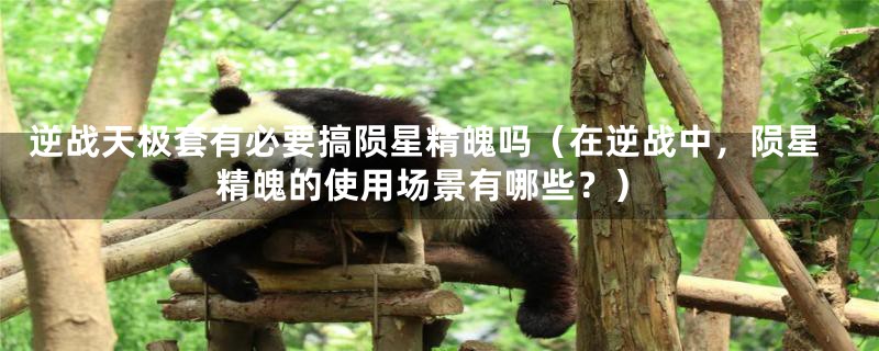 逆战天极套有必要搞陨星精魄吗(在逆战中,陨星精魄的使用场景有哪些?)