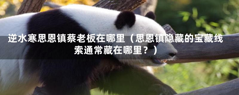 逆水寒思恩镇蔡老板在哪里(思恩镇隐藏的宝藏线索通常藏在哪里?)