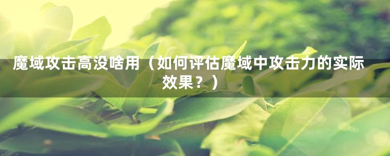 魔域攻击高没啥用(如何评估魔域中攻击力的实际效果?)