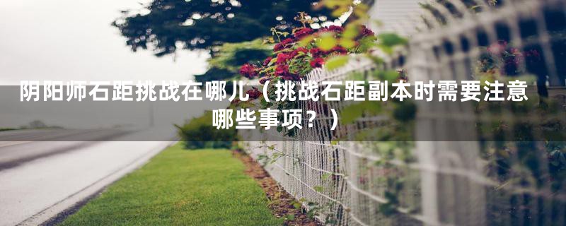阴阳师石距挑战在哪儿(挑战石距副本时需要注意哪些事项?)