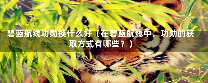 碧蓝航线功勋换什么好（在碧蓝航线中，功勋的获取方式有哪些？）