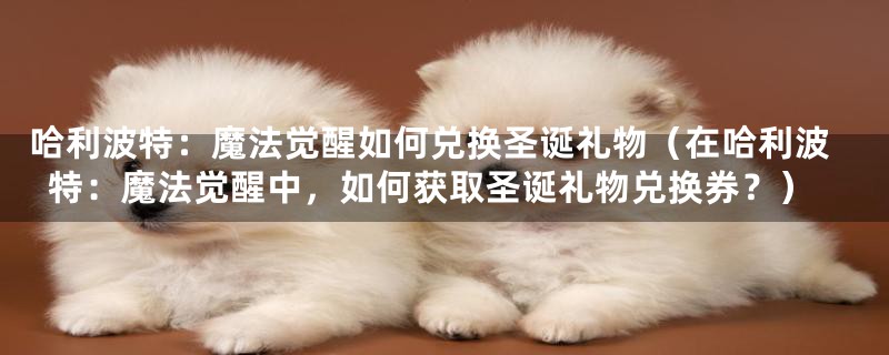 哈利波特:魔法觉醒如何兑换圣诞礼物(在哈利波特:魔法觉醒中,如何获取圣诞礼物兑换券?)