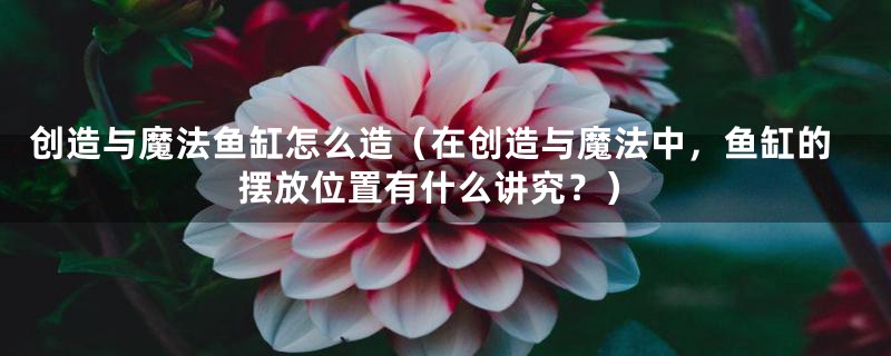 创造与魔法鱼缸怎么造(在创造与魔法中,鱼缸的摆放位置有什么讲究?)