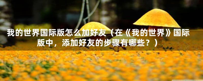 我的世界国际版怎么加好友(在《我的世界》国际版中,添加好友的步骤有哪些?)