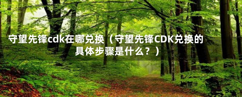 守望先锋cdk在哪兑换（守望先锋CDK兑换的具体步骤是什么？）