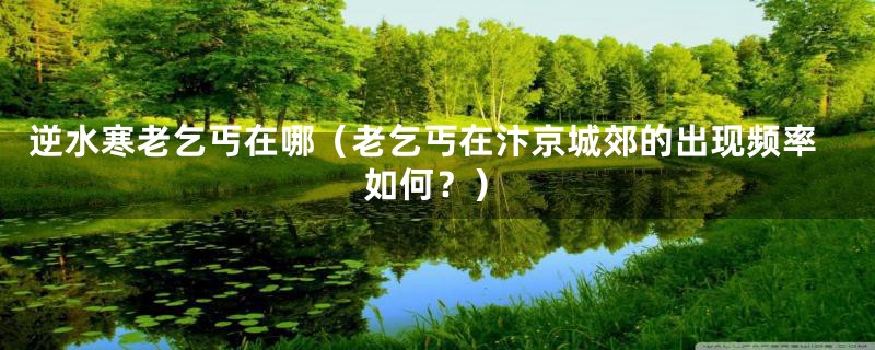 逆水寒老乞丐在哪(老乞丐在汴京城郊的出现频率如何?)