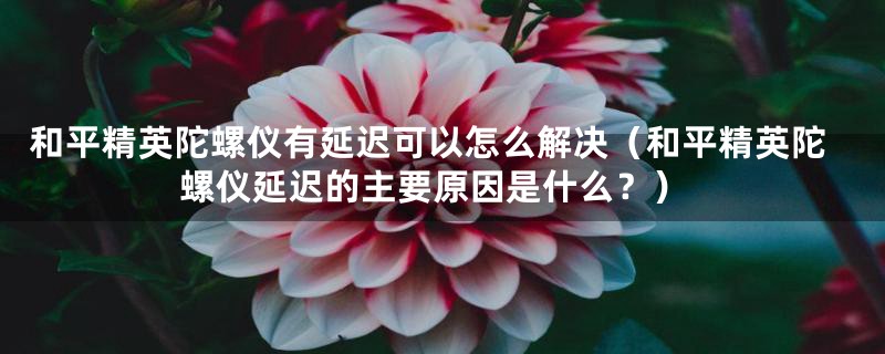 和平精英陀螺仪有延迟可以怎么解决(和平精英陀螺仪延迟的主要原因是什么?)