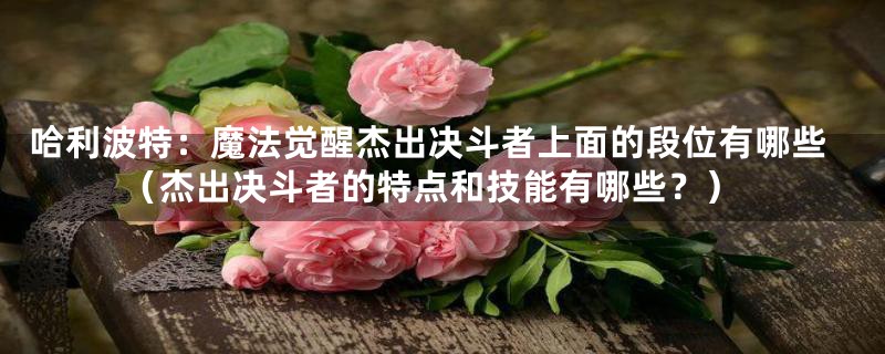 哈利波特：魔法觉醒杰出决斗者上面的段位有哪些（杰出决斗者的特点和技能有哪些？）