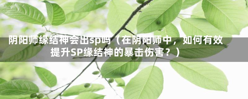 阴阳师缘结神会出sp吗(在阴阳师中,如何有效提升SP缘结神的暴击伤害?)