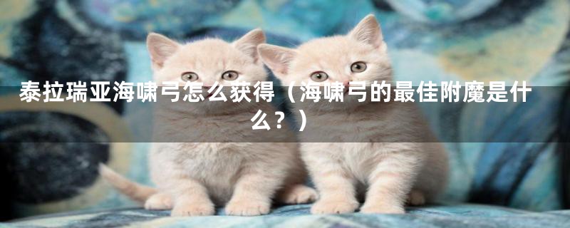 泰拉瑞亚海啸弓怎么获得(海啸弓的最佳附魔是什么?)