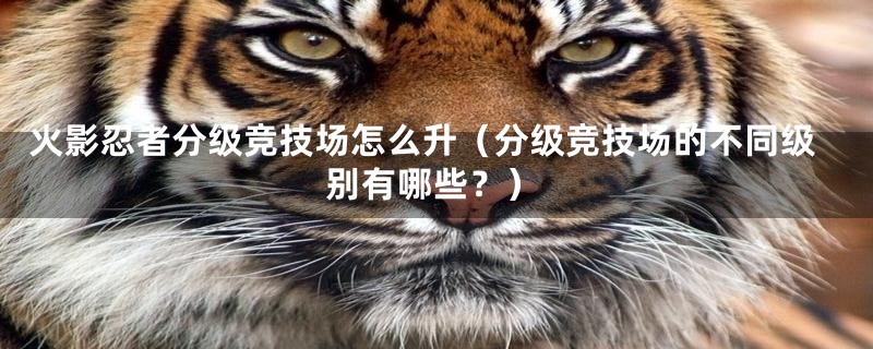 火影忍者分级竞技场怎么升(分级竞技场的不同级别有哪些?)