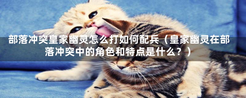部落冲突皇家幽灵怎么打如何配兵(皇家幽灵在部落冲突中的角色和特点是什么?)