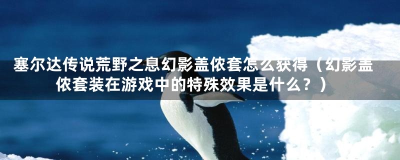 塞尔达传说荒野之息幻影盖侬套怎么获得（幻影盖侬套装在游戏中的特殊效果是什么？）