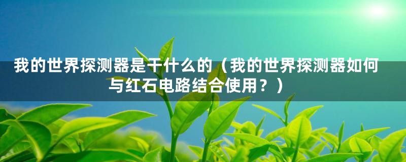 我的世界探测器是干什么的(我的世界探测器如何与红石电路结合使用?)