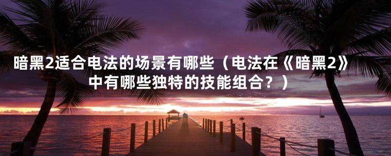 暗黑2适合电法的场景有哪些（电法在《暗黑2》中有哪些独特的技能组合？）
