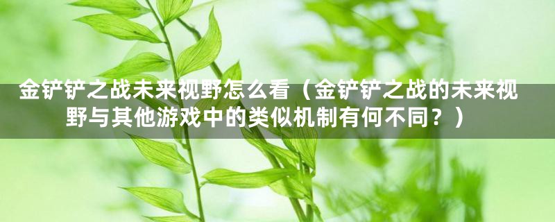 金铲铲之战未来视野怎么看(金铲铲之战的未来视野与其他游戏中的类似机制有何不同?)