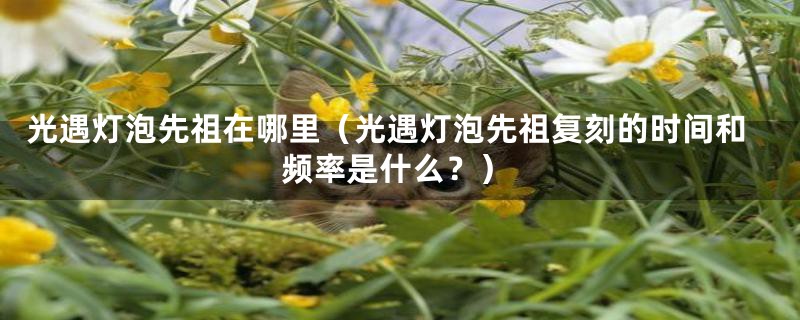 光遇灯泡先祖在哪里（光遇灯泡先祖复刻的时间和频率是什么？）
