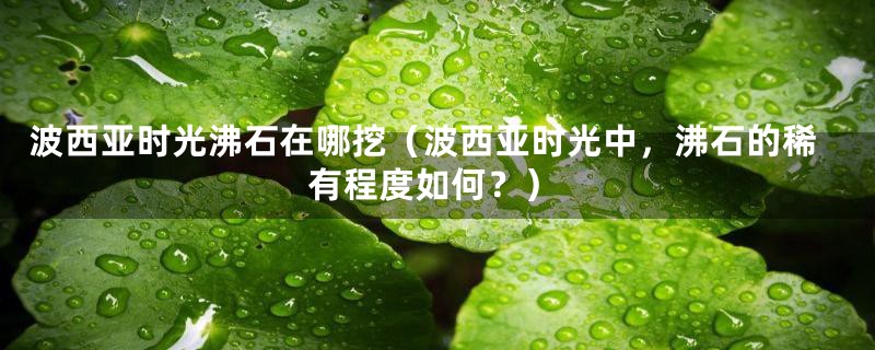 波西亚时光沸石在哪挖(波西亚时光中,沸石的稀有程度如何?)
