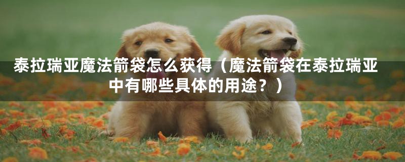 泰拉瑞亚魔法箭袋怎么获得（魔法箭袋在泰拉瑞亚中有哪些具体的用途？）
