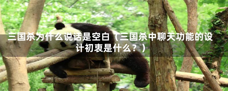 三国杀为什么说话是空白(三国杀中聊天功能的设计初衷是什么?)