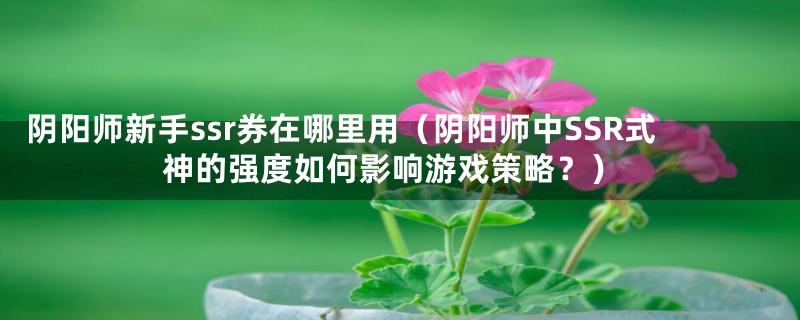 阴阳师新手ssr券在哪里用（阴阳师中SSR式神的强度如何影响游戏策略？）