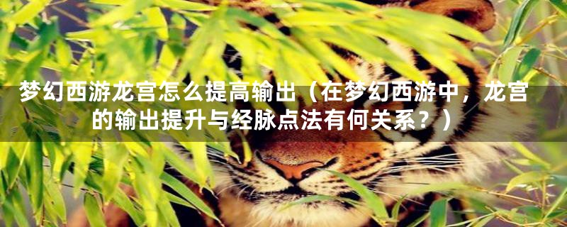 梦幻西游龙宫怎么提高输出(在梦幻西游中,龙宫的输出提升与经脉点法有何关系?)
