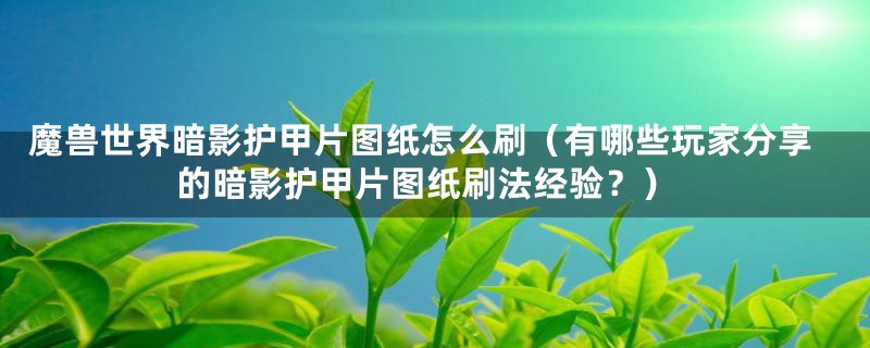 魔兽世界暗影护甲片图纸怎么刷（有哪些玩家分享的暗影护甲片图纸刷法经验？）