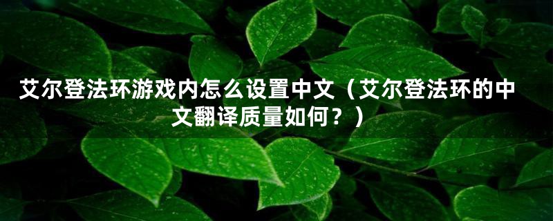 艾尔登法环游戏内怎么设置中文(艾尔登法环的中文翻译质量如何?)