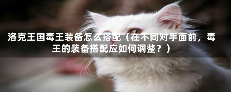 洛克王国毒王装备怎么搭配(在不同对手面前,毒王的装备搭配应如何调整?)
