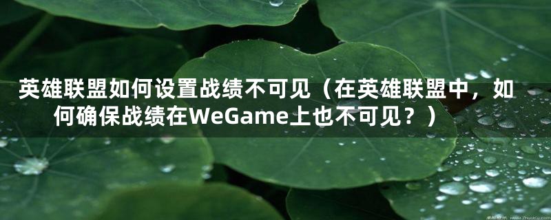 英雄联盟如何设置战绩不可见(在英雄联盟中,如何确保战绩在WeGame上也不可见?)