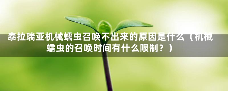 泰拉瑞亚机械蠕虫召唤不出来的原因是什么（机械蠕虫的召唤时间有什么限制？）