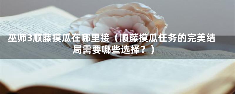 巫师3顺藤摸瓜在哪里接(顺藤摸瓜任务的完美结局需要哪些选择?)