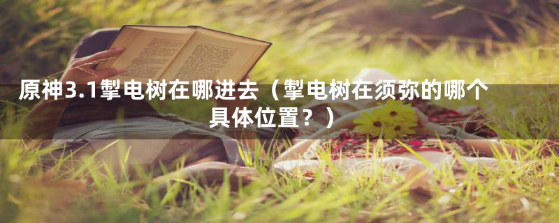 原神3.1掣电树在哪进去(掣电树在须弥的哪个具体位置?)