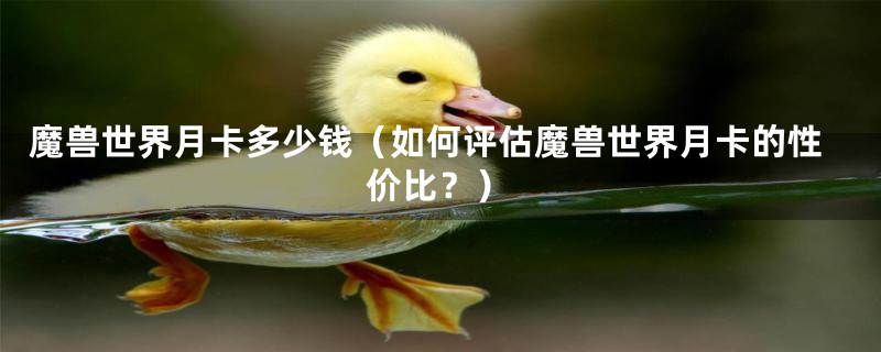 魔兽世界月卡多少钱(如何评估魔兽世界月卡的性价比?)