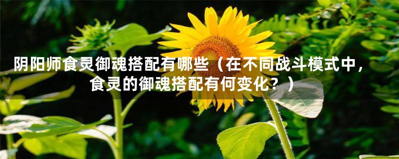 阴阳师食灵御魂搭配有哪些（在不同战斗模式中，食灵的御魂搭配有何变化？）