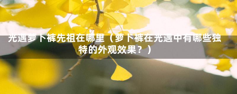 光遇萝卜裤先祖在哪里(萝卜裤在光遇中有哪些独特的外观效果?)