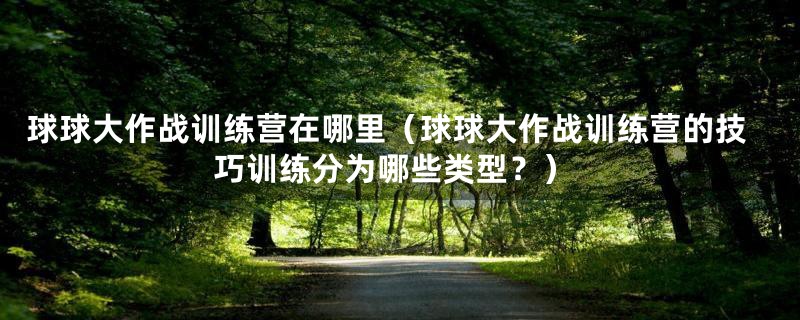 球球大作战训练营在哪里(球球大作战训练营的技巧训练分为哪些类型?)