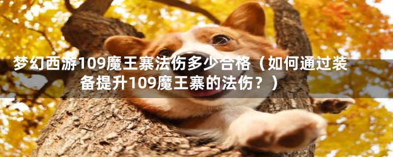 梦幻西游109魔王寨法伤多少合格(如何通过装备提升109魔王寨的法伤?)