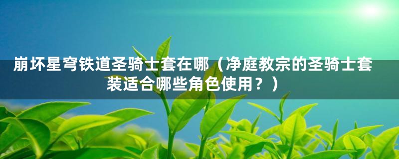 崩坏星穹铁道圣骑士套在哪（净庭教宗的圣骑士套装适合哪些角色使用？）